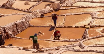 Consumo Consciente: El impacto real de Why Nut en nuestra comunidad